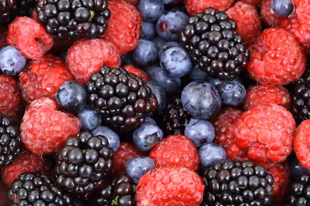 Lebensmittel und die Auswirkung auf uns